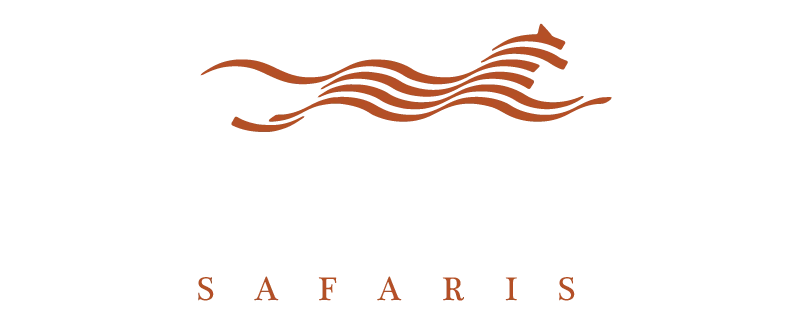 Lady M Safaris